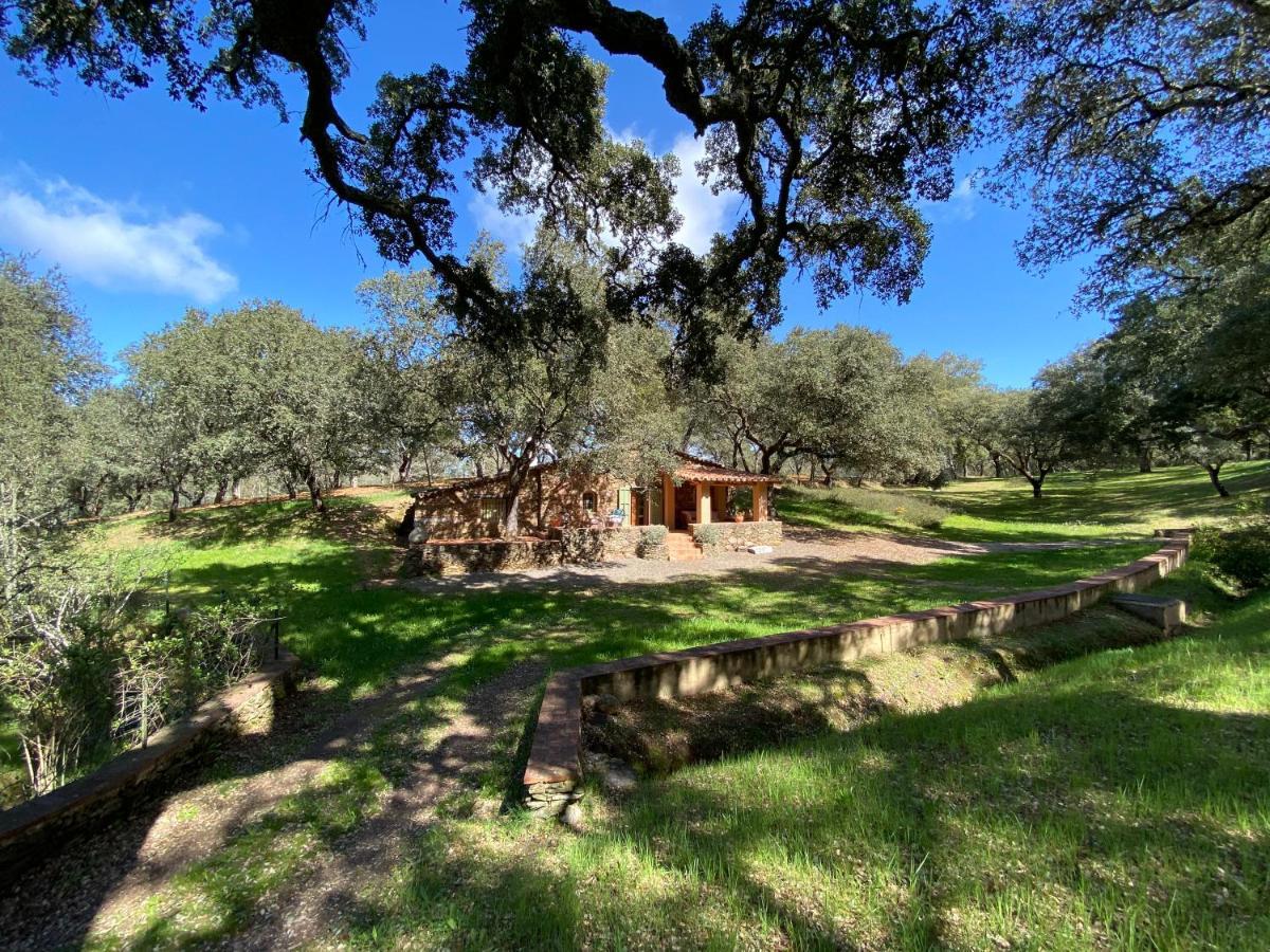 Valle Del Arroyo Casas Rurales - B&B - Solo Adultos Cortelazor エクステリア 写真